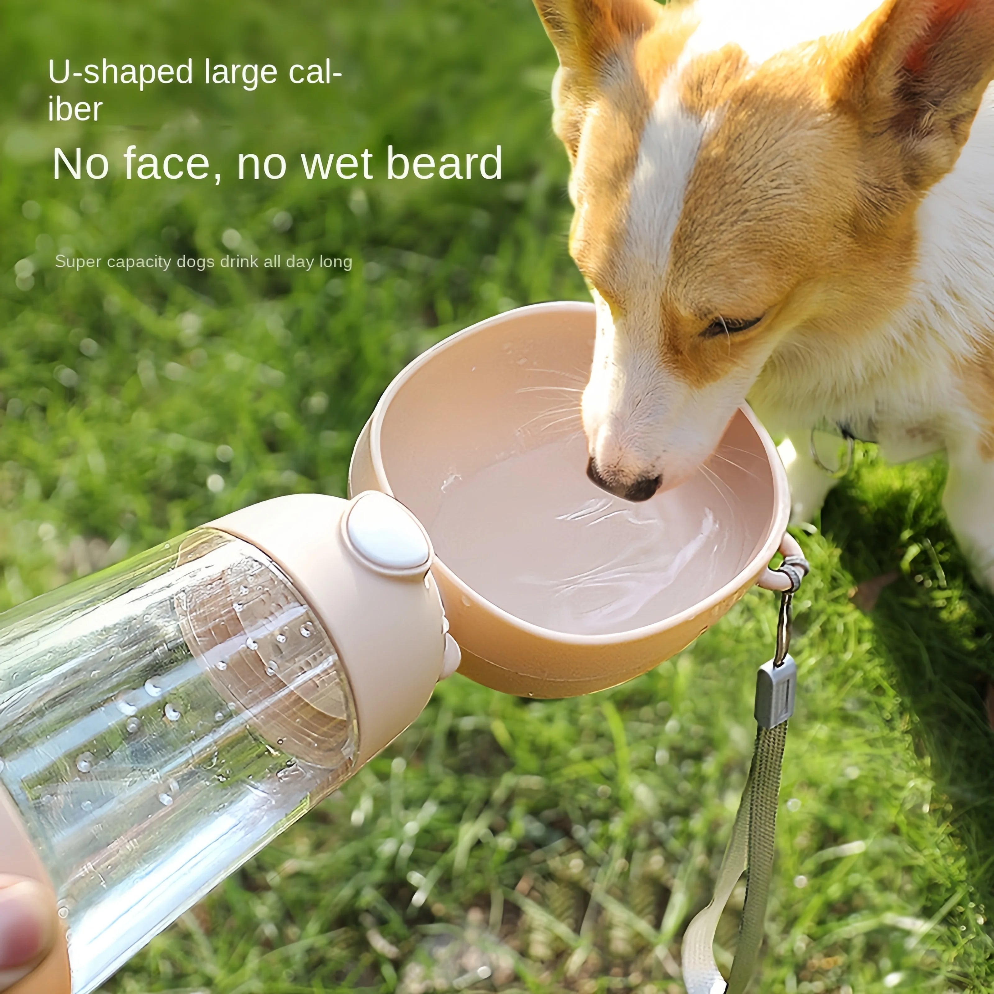 Pet Travel Water Cup